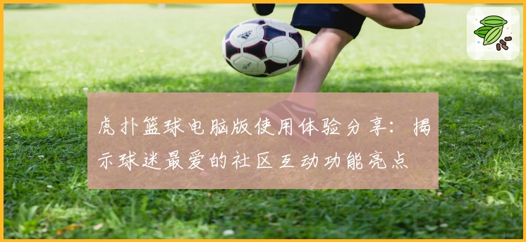 虎扑篮球电脑版使用体验分享：揭示球迷最爱的社区互动功能亮点