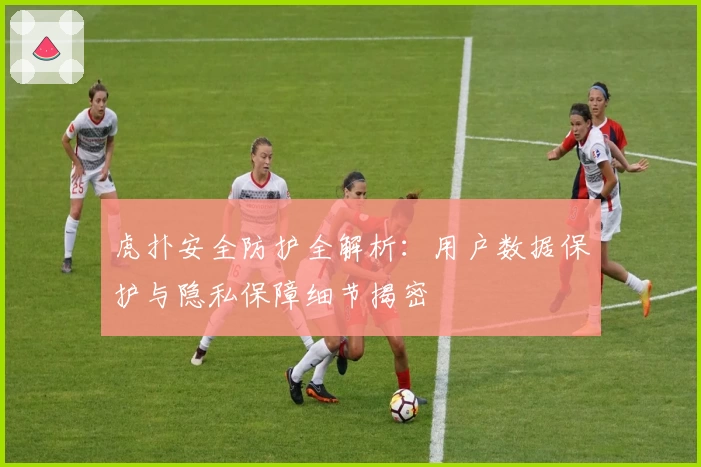 虎扑安全防护全解析：用户数据保护与隐私保障细节揭密