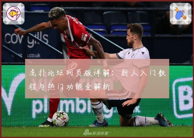 虎扑论坛网页版详解：新人入门教程与热门功能全解析